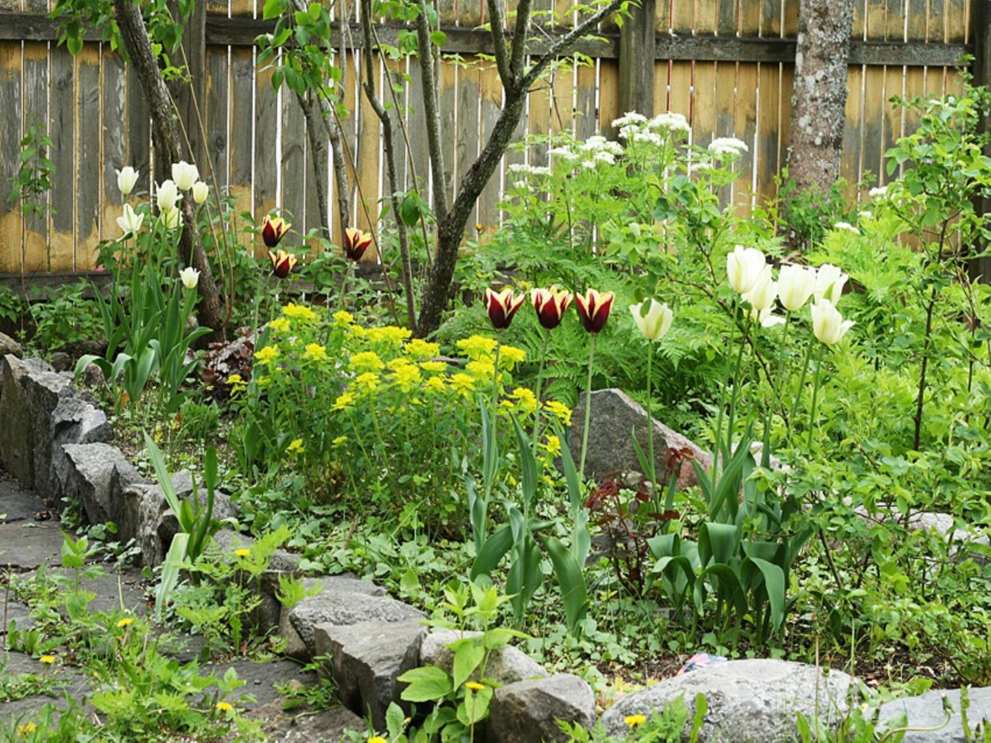 Uddens Bed & Breakfast Bed and Breakfast Öregrund Buitenkant foto